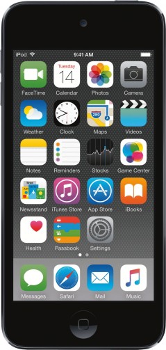 iPod touch 16GB (6. Generation) / Space Gray