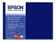 EPSON Fotopapier/Standard/205/A3/100 Blatt