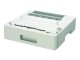 EPSON Epson - Papierkassette - 250 Bltter in 